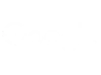 google-icone