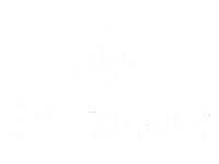 santander-icone